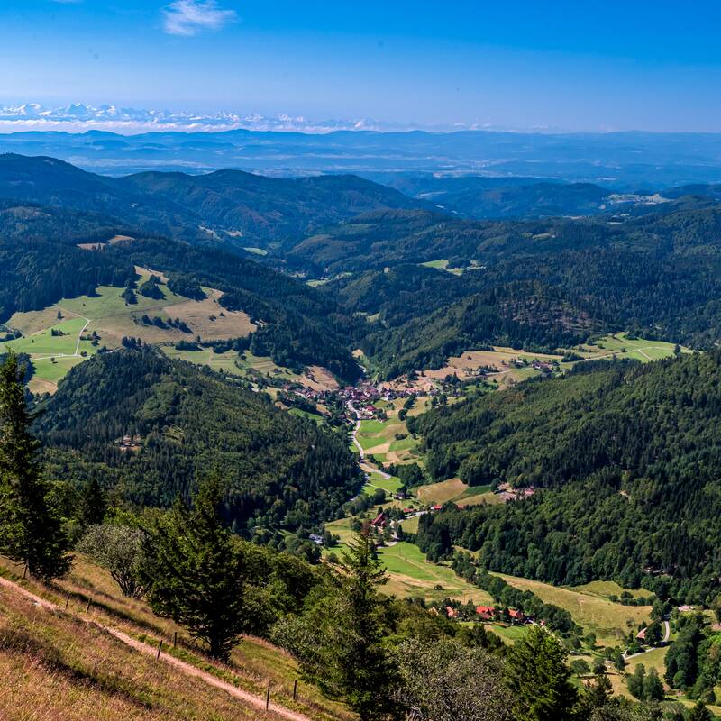 Eine weite, hügelige Landschaft mit Wäldern, Wiesen und kleinen Dörfern unter einem klaren blauen Himmel.